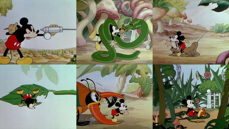 Backdrop from Mickey's Garden