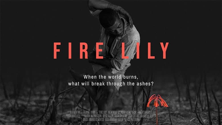Backdrop from Fire Lily