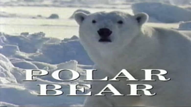 Backdrop from Predators of the Wild: Polar Bear