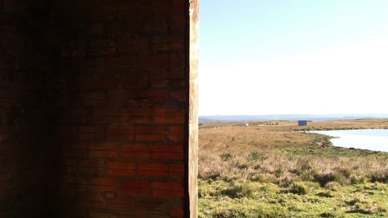 Backdrop from Disco de Ruidos Afônicos