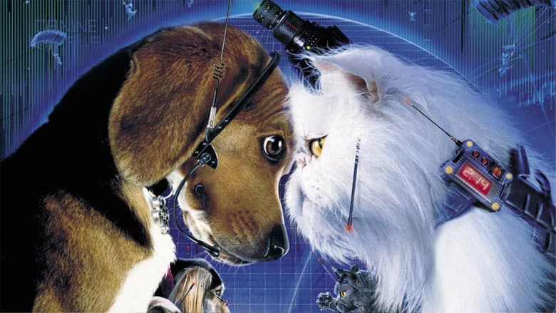 Backdrop from Cats & Dogs