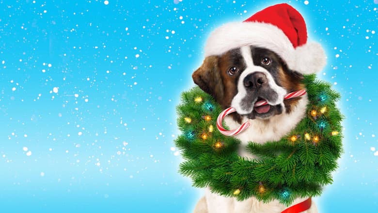 Backdrop from Beethoven's Christmas Adventure