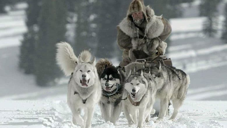 Backdrop from The Great Alaskan Race