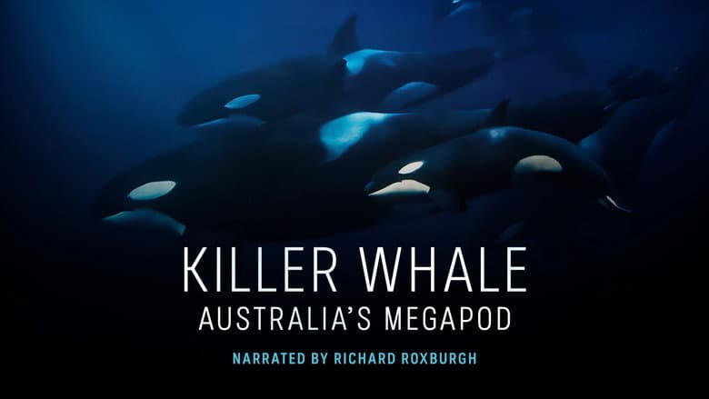 Backdrop from Killer Whale: Australia's Megapod