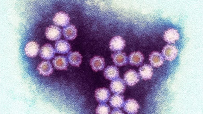 Backdrop from Winter Viruses and How to Beat Them