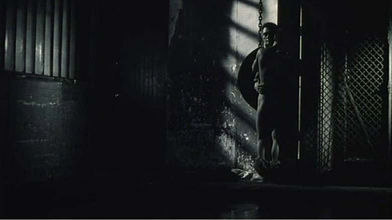Backdrop from Docile Night
