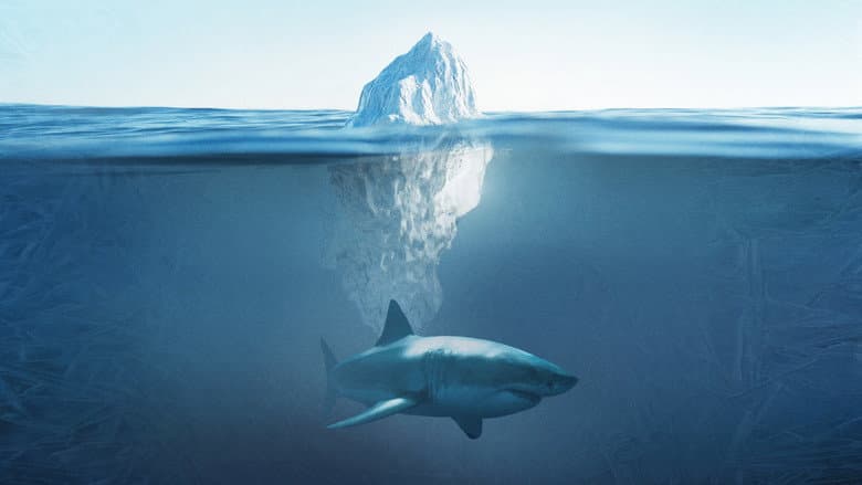 Backdrop from Shark Below Zero