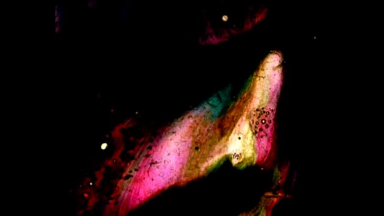 Backdrop from Stellar