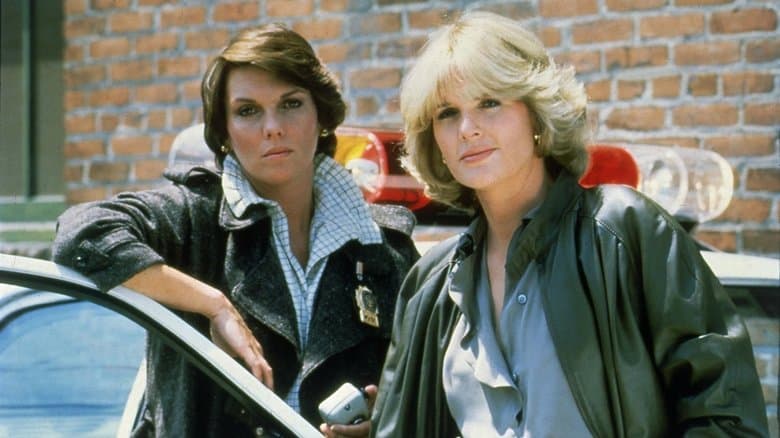 Backdrop from Cagney & Lacey