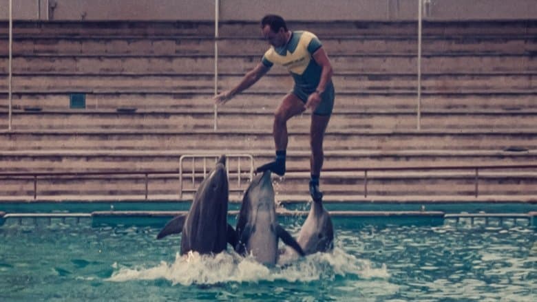 Backdrop from The Last Dolphin King