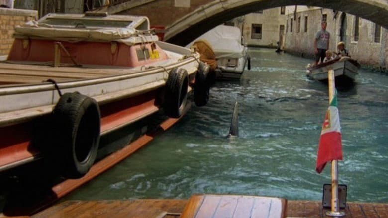 Backdrop from Sharks in Venice