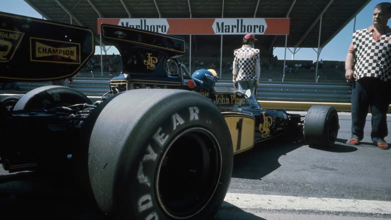 Backdrop from Superswede: A film about Ronnie Peterson
