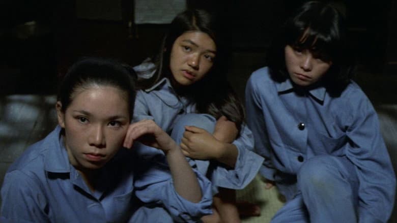 Backdrop from True Story of a Woman in Jail: Continues