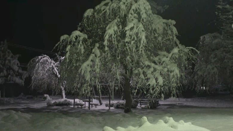 Backdrop from Posted Spirit Image: Green Chapter