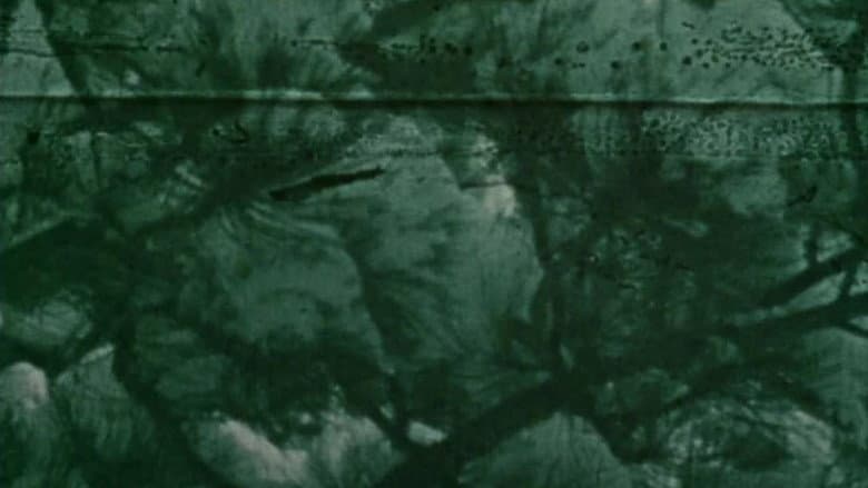 Backdrop from Dog Star Man: Part II