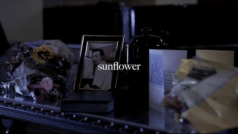 Backdrop from sunflower