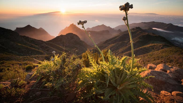 Backdrop from The Canary Islands