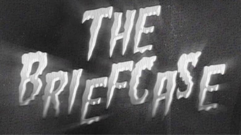 Backdrop from THE BRIEFCASE
