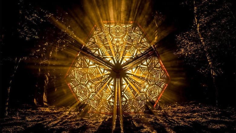 Backdrop from Qlimax 2020: The Source