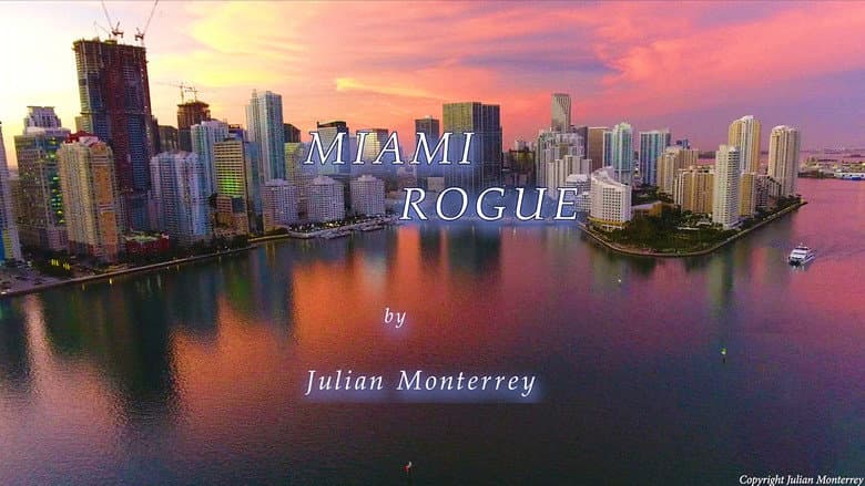 Backdrop from Miami Rogue