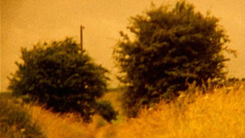Backdrop from A Journey to Avebury