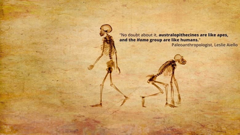Backdrop from Dismantled: A Scientific Deconstruction of The Theory of Evolution