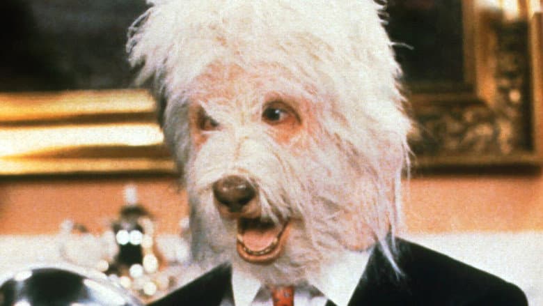 Кадр із фільму «The Return of the Shaggy Dog»