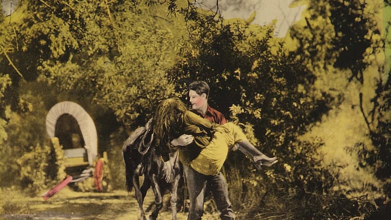 Backdrop from The Man in the Saddle