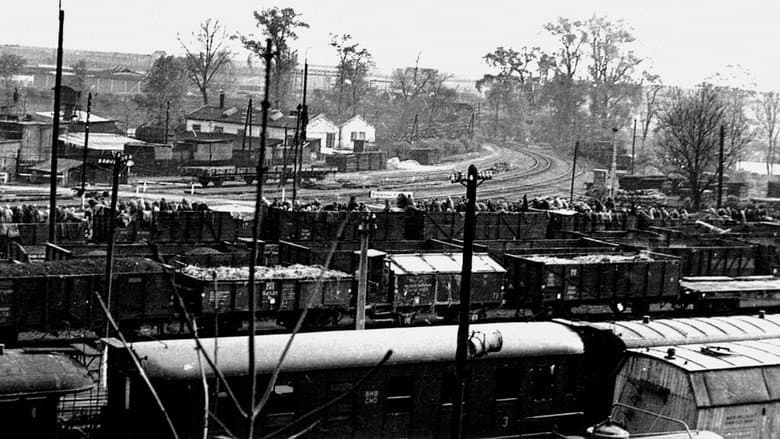 Backdrop from Nazi Death Marches