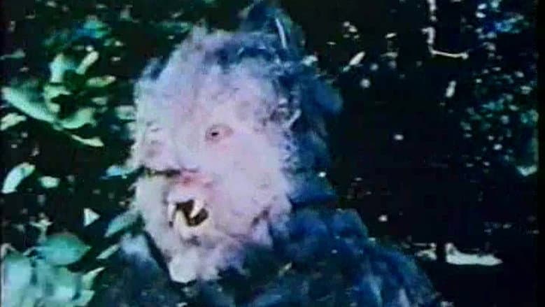 Backdrop from Curse of Bigfoot