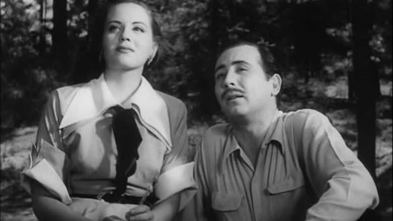 Backdrop from A Woman Without Love