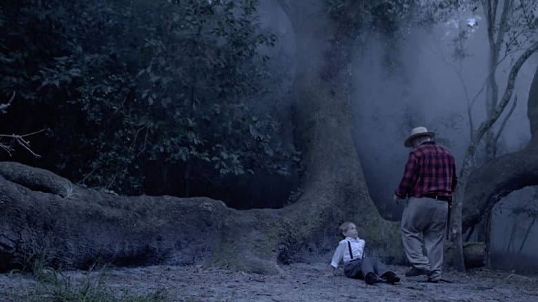 Backdrop from Devil's Tree: Rooted Evil