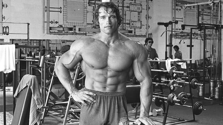Backdrop from Pumping Iron