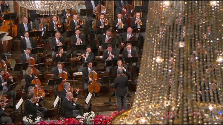 Backdrop from New Year's Concert 2016
