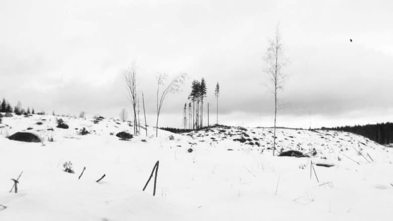 Кадр із фільму «Winterreise»