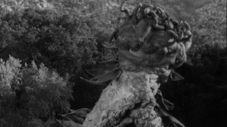 Backdrop from The Creeping Terror