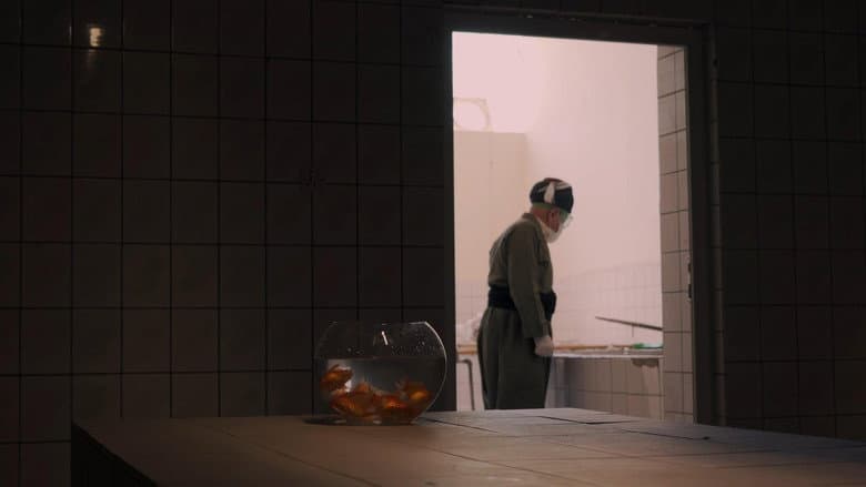 Backdrop from Laboratory No.2