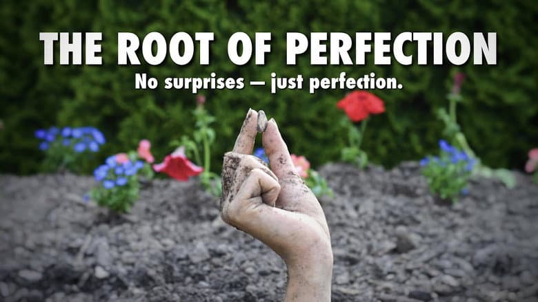 Backdrop from The Root of Perfection