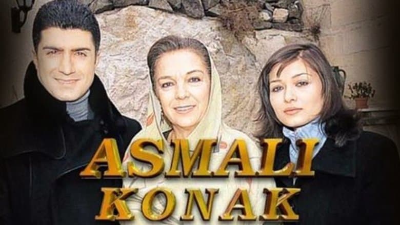 Backdrop from Asmalı Konak