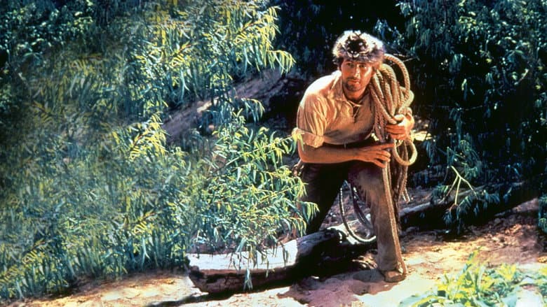 Backdrop from Davy Crockett and the River Pirates