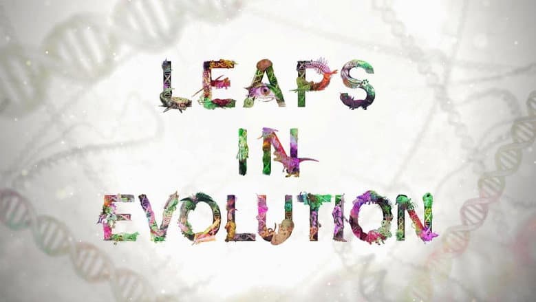 Backdrop from Leaps In Evolution