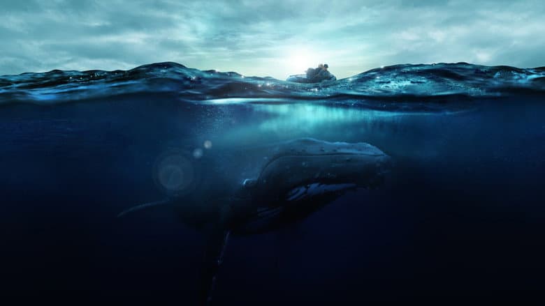 Backdrop from Fathom