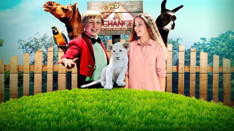 Backdrop from Jimmy's Jungle