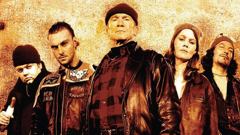 Backdrop from Pistoleros