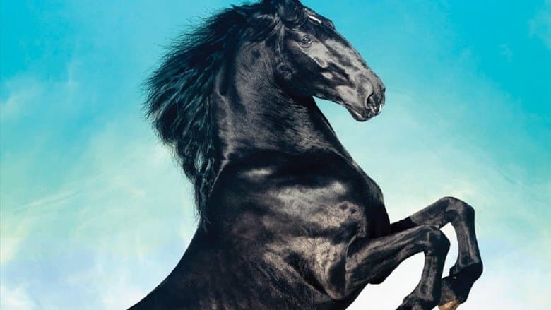 Backdrop from Black Beauty