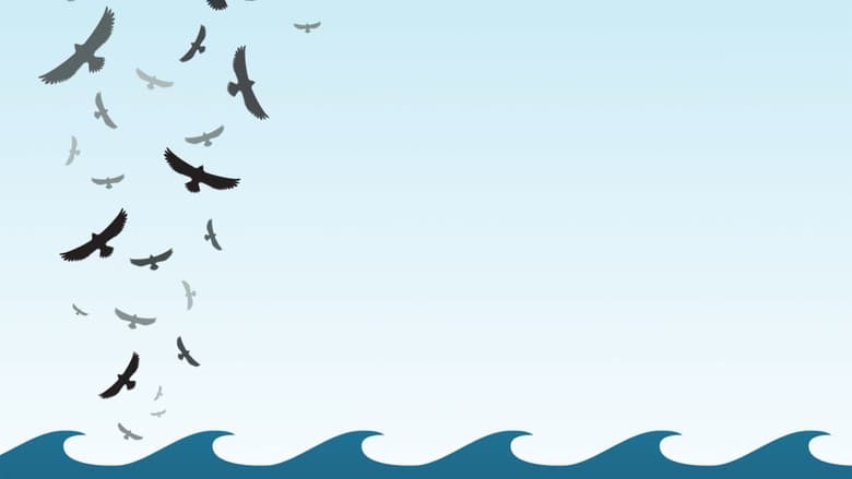 Backdrop from In the Wake of the Flood