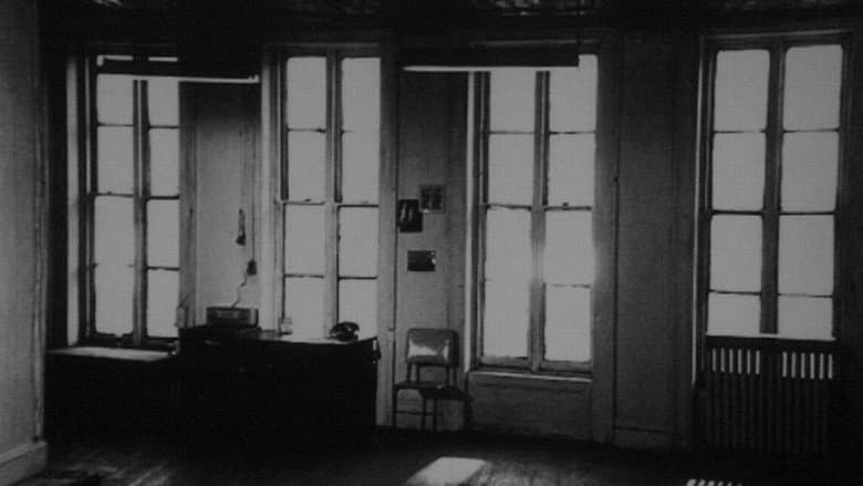 Backdrop from Wavelength