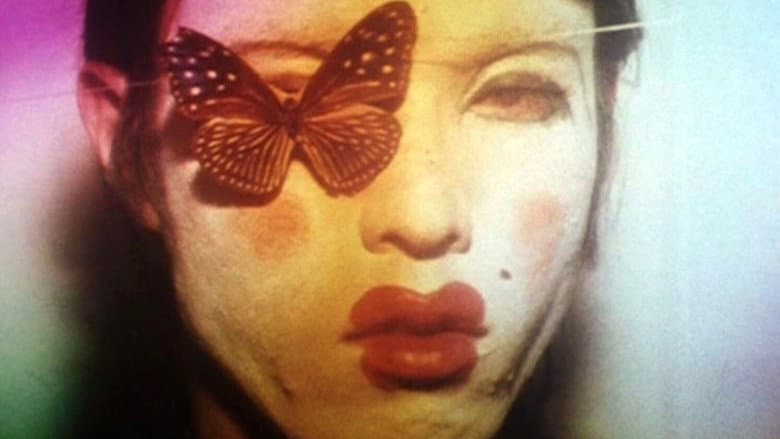 Backdrop from Butterfly