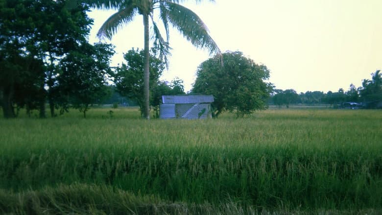 Backdrop from Irik ng Lunggati
