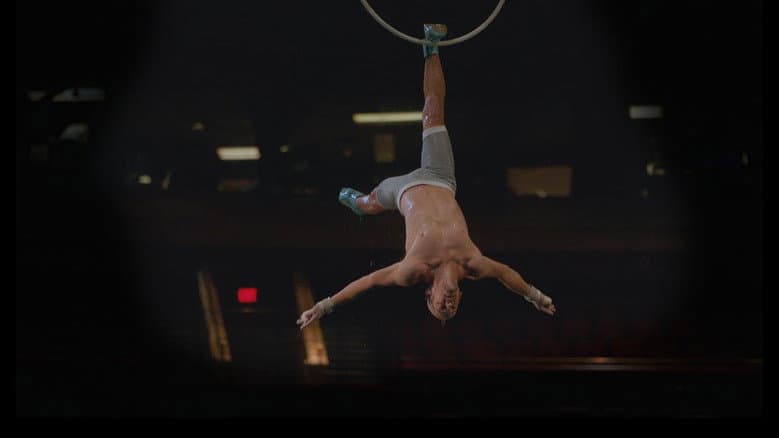 Backdrop from Cirque du Soleil: Without a Net